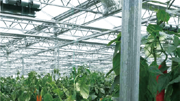 1639815252115806.jpg 1.jpg